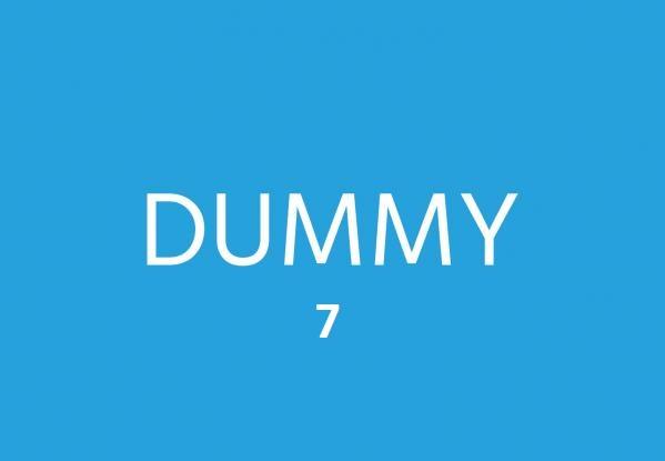 Dummy 7